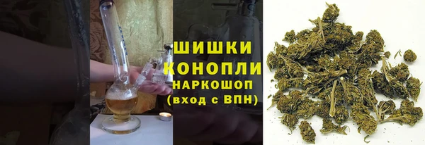 крисы Дмитров