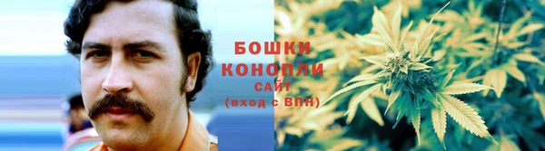 крисы Дмитров
