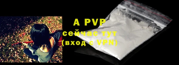 экстази Дмитриев