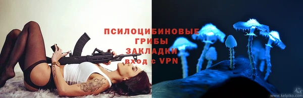 экстази Дмитриев