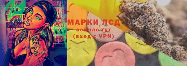 крисы Дмитров