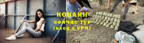 экстази Дмитриев