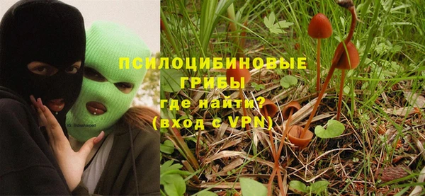 крисы Дмитров