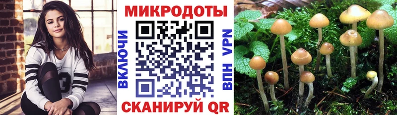 Галлюциногенные грибы Psilocybine cubensis цены наркотик Плавск
